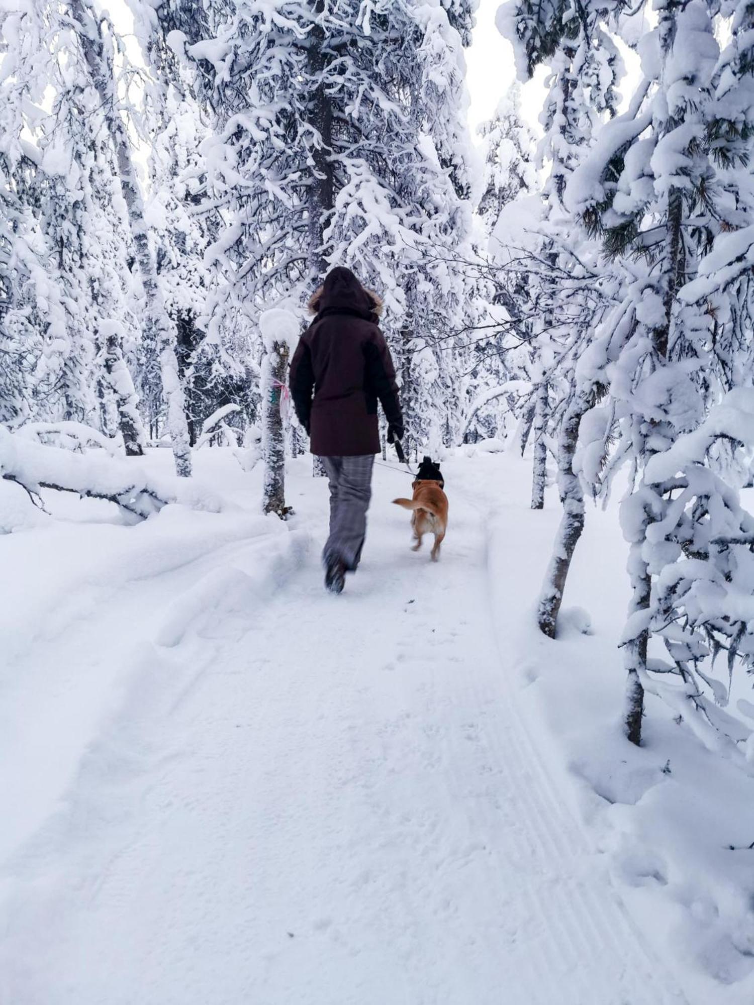 Appartamento Luttotupa Saariselka Esterno foto